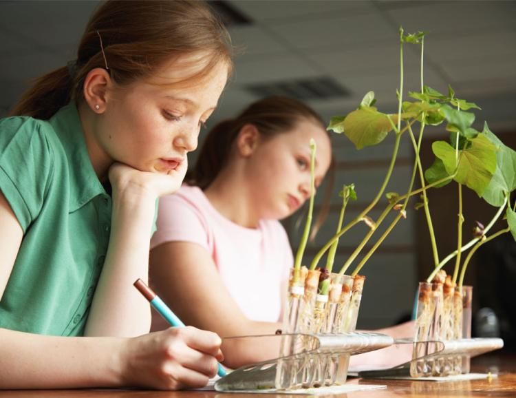 Students Science Fair Central
