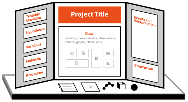 science project titles examples